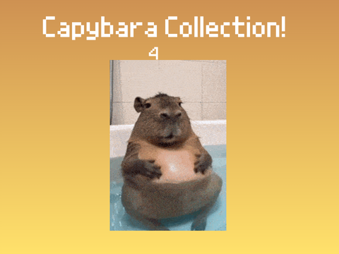 Capybara Collection >v<
