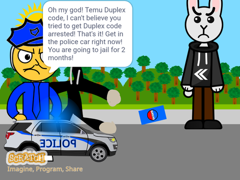 Temu duplex code fails to get Duplex Code arrested/GROUNDED
