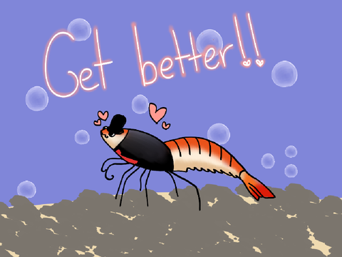 Emotional support shrimp :3