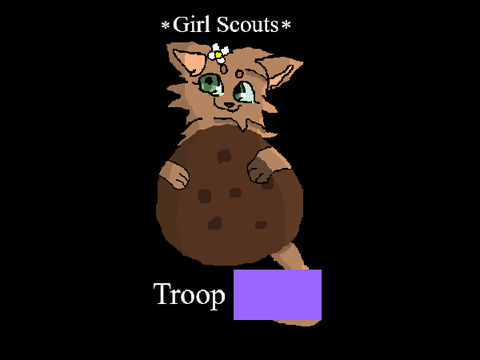 Troop shirt entry