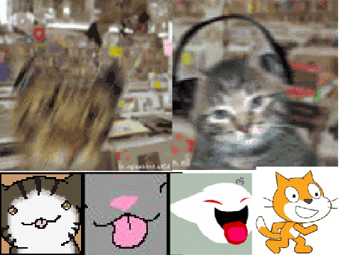 THE CAT SHOW!