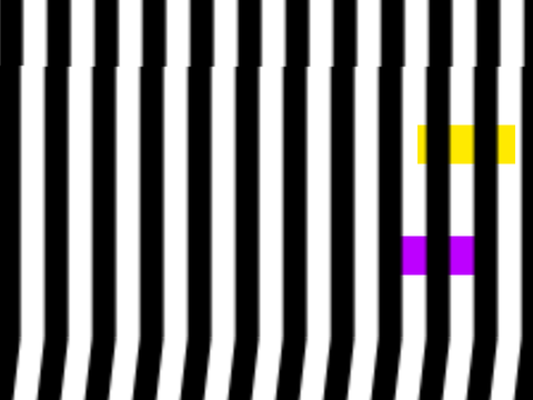Stepping Feet Illusion