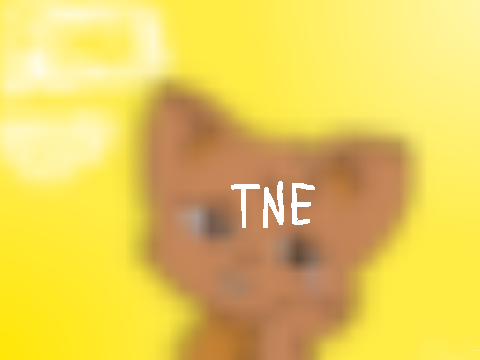 Fine TNE