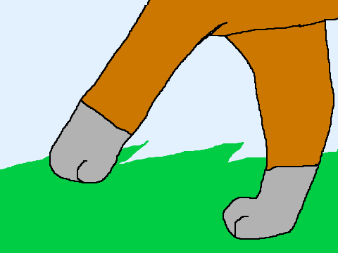 How to animate a Paw Walkcycle  remix