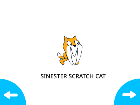 Types of Scratch Cat