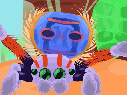 Peacock Spider!