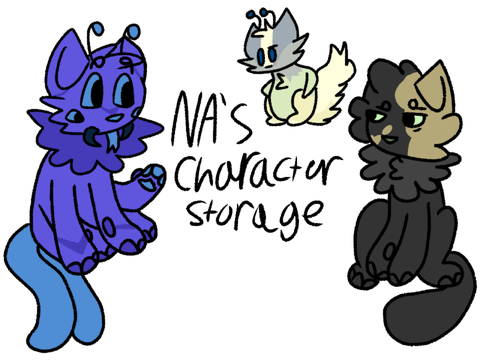 na’s character storage