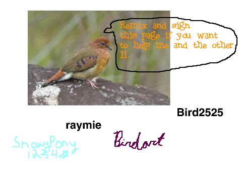 The rarest bird in the world?!?! remix remix remix