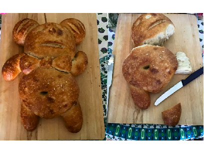 Life and death of a bread bear