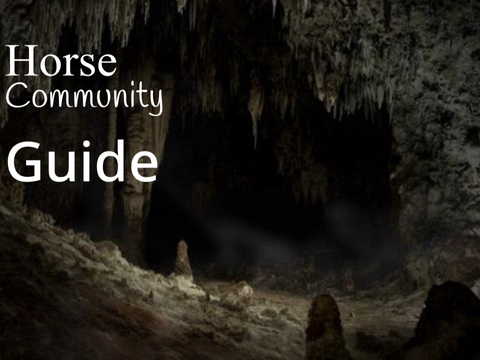 Horse community guide