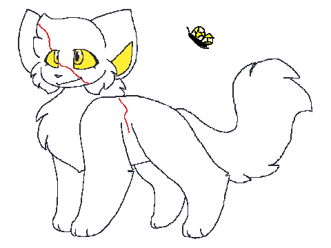 Butter fly ref