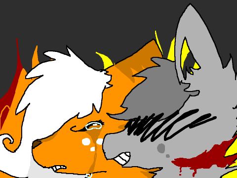 Squirrelflight and  ȺṥĦƑŬ℟
