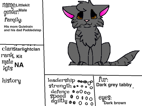 Littlekit of Starlightclan