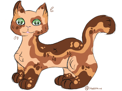 Tallpoppy art