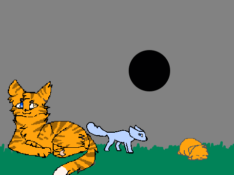 <My Cat Project>
