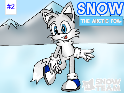 Snow the Arctic Fox #2