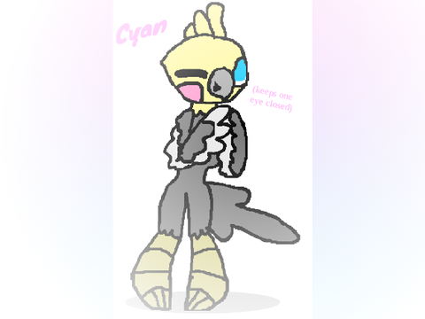 Cockatiel