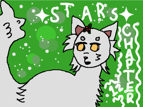 ✦sᴛᴀʀs✦ // Chapter 12 // Cover Entry!