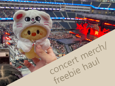 (reshared) SKZ CONCERT HAUL + PICS :000