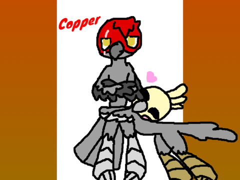 Gang-gang cockatoo
