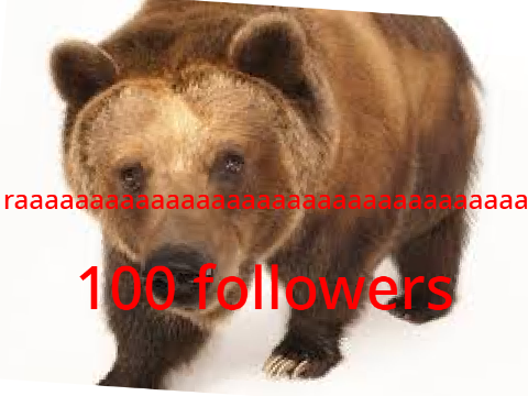 100 followers special - bear ranking