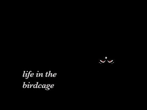 life in the birdcage