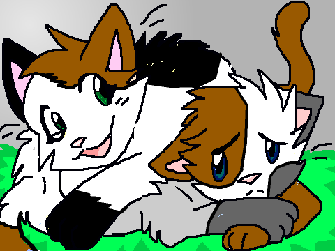 Spottedkit and Graykit OC