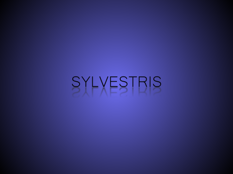 Sylvestris