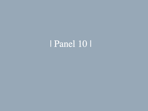 | Panel 10 |