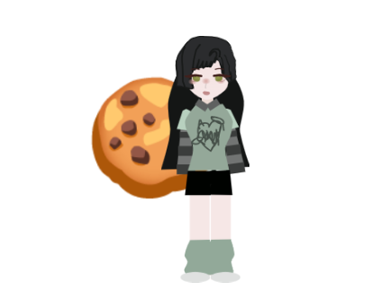 Who took the cookies from the cookie jar remix
