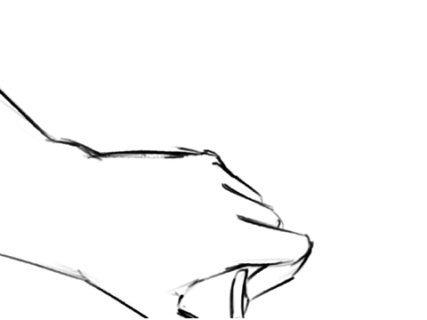 Fluid animation practice