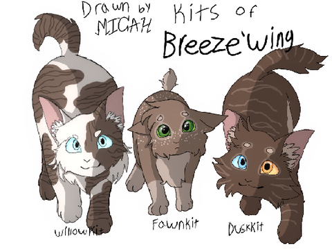 Kits ref | Breeze'Wing