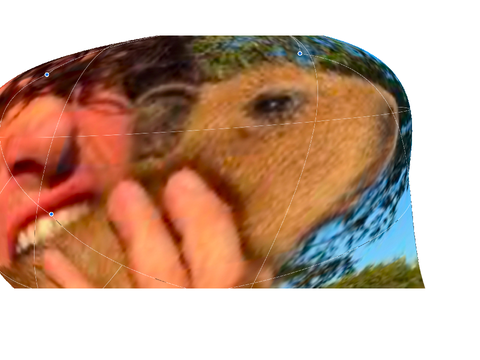 Remix to ruin capybara (2)