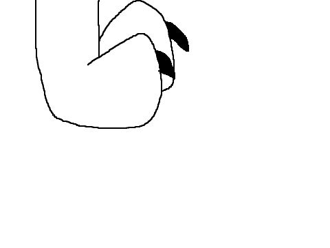 animation