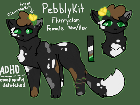 ⛧ ˚☽˚.⋆ ❛❛A Tower Of Pebbles❜❜ ˚☽˚.⋆ ⛧ Pebblykit Ref & Bio