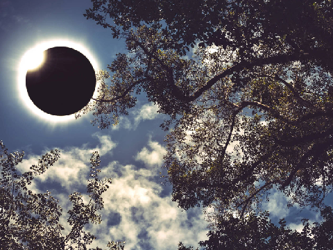 ੈ✩‧₊˚ a dance of the sun and moon ⚝ a wip eclipsekit application