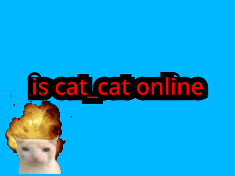 CAT GO BSDFSDFSFCSDFCSADSF