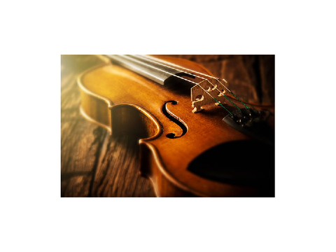Waltz No. 2 (D-H) First Violin