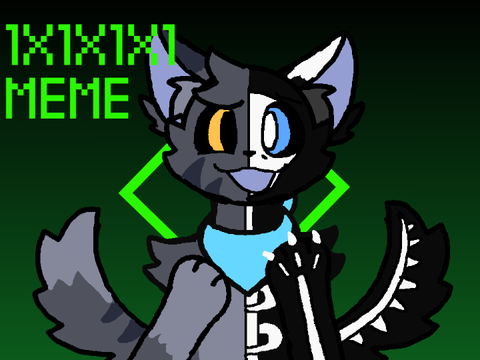 [ 1x1x1x1 | MEMIX ]