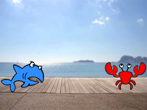 Beach Confusion (2)