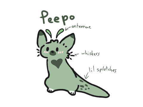 PEEPO 