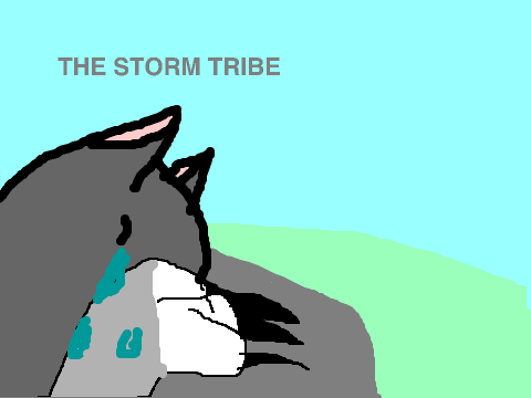 Storm tribe trailer