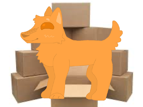 Moving + Coming out?