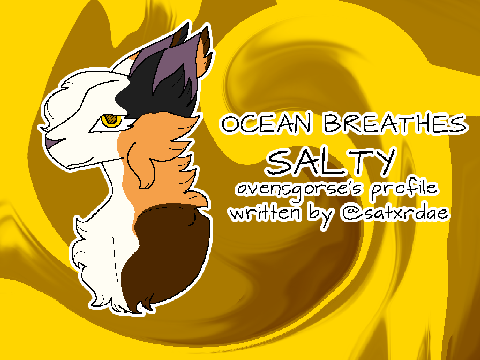 060 . OCEAN BREATHES SALTY