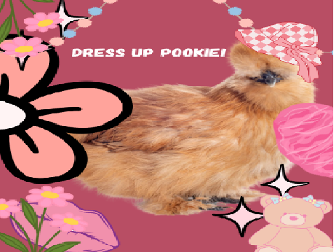 DRESS UP POOKIE