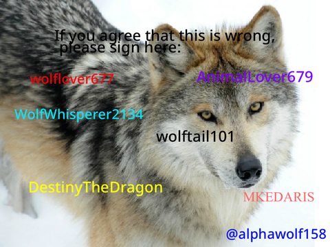 Sign To Stop Wolf Hunting Remix