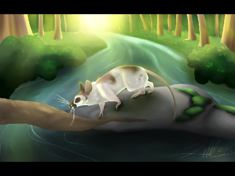Wanderer