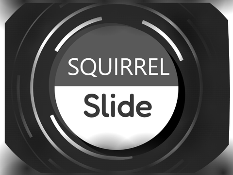SQUIRREL SLIDE
