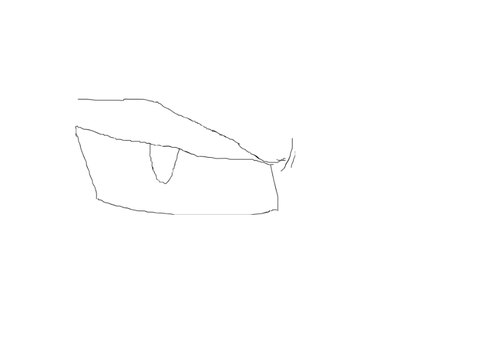 Eye