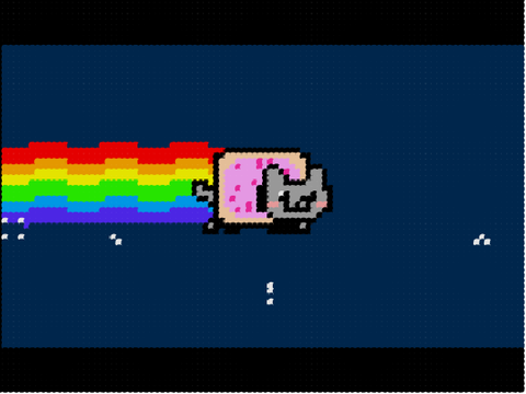 nyan cat(100%pen)